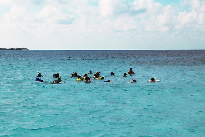 El Cielo Snorkel by Private Boat - Price and value: when $499.99 makes sense for your group
