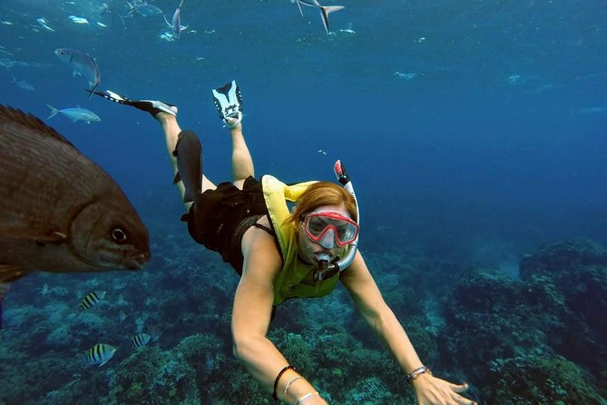 El Cielo Snorkel by Private Boat - Logistics that can make or break the day (especially if you’re on a cruise)