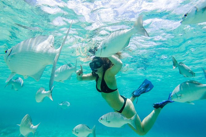El Cielo Snorkel by Private Boat - The full flow: from Tortugas meeting point to reef stops and a beach finish