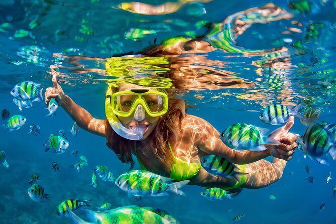 El Cielo Snorkeling Adventure in Cozumel - Key Points Worth Knowing