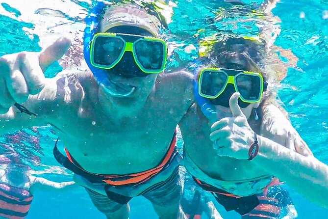El Cielo Snorkeling Adventure in Cozumel - Palancar Reef: Coral Gardens and Sea Life You Can Actually Follow