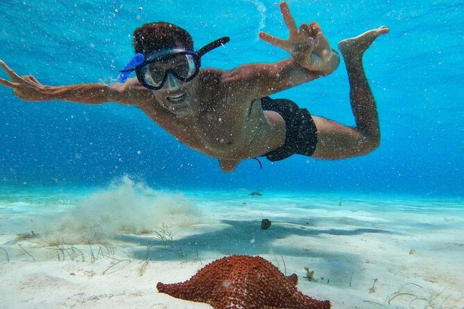 El Cielo Snorkeling Adventure in Cozumel - Price and What You’re Really Paying For