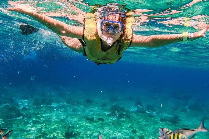El Cielo Snorkeling Adventure in Cozumel - Logistics Reality Check: Boats, Timing, and Dock Steps