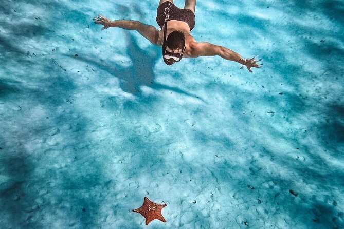 El Cielo Snorkeling Adventure in Cozumel - Columbia Reef: Deeper Water, Drop-Offs, and Bigger Chances