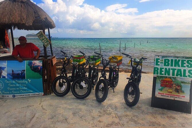 Electric Bike Adventure - Fat-tire e-bikes: what they change for your comfort