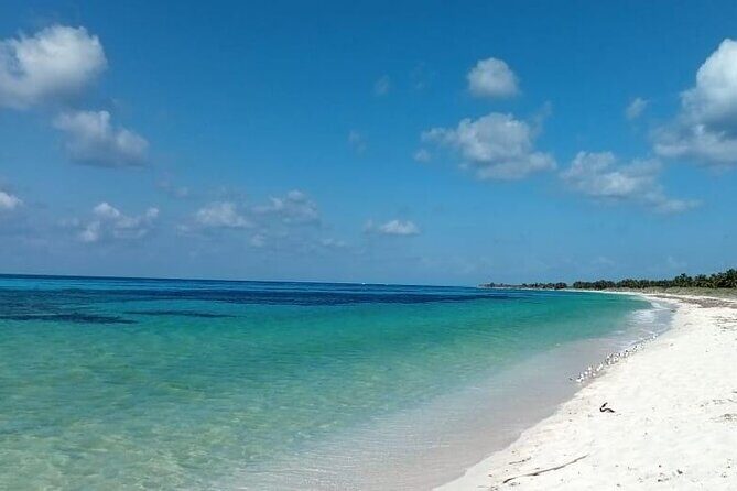 Electric Island Tour with Snorkeling, Lunch & Otoch Mayan Experience - Comfort, guide quality, and the small details that keep it smooth
