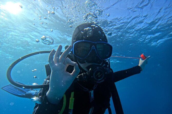 “Embark on a Professional and Passionate Scuba Diving Adventure!" - Phase 3: Caribbean Ocean Session Up to 40 Feet (45–55 Minutes)