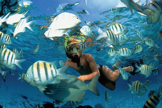 Enjoy an amazing day in Isla Mujeres with snorkeling food, drinks and round trip - Spinnaker on the way back: the weather-dependent bonus most people plan for