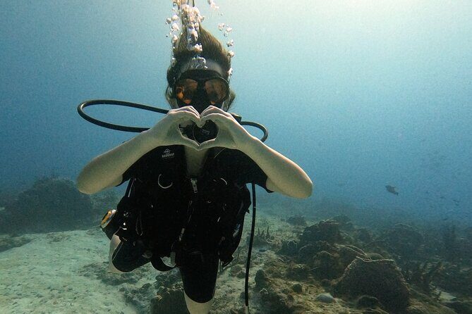 Enjoy two dives without previous experience with a boat trip - Key points to know before you go