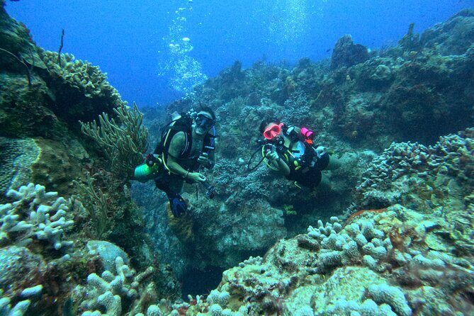 Enjoy two dives without previous experience with a boat trip - Morning Schedule: Theory, Three Skills, Then Reef Time Twice