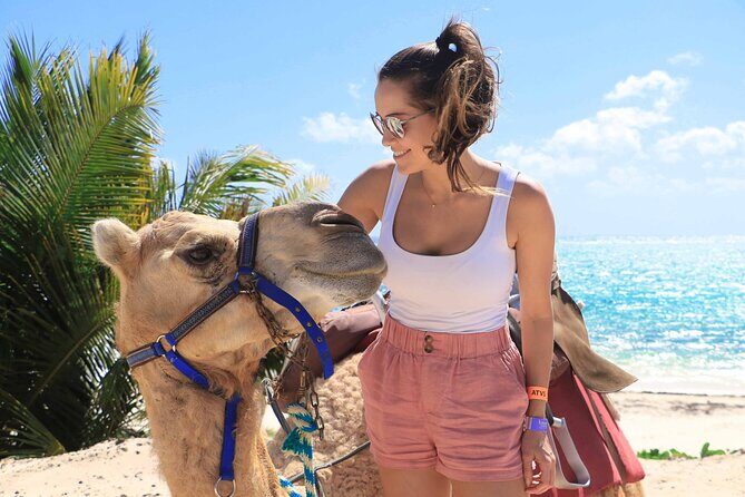 ENJOY UNIQUE CAMEL RIDE in Puerto Morelos with Transportation - How Hotel Pickup Works: Shared Vans, Sanitized Stops, and Real Time