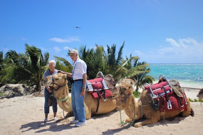 ENJOY UNIQUE CAMEL RIDE in Puerto Morelos with Transportation - The Ride Itself: Instruction, Required Helmet, and How It Feels