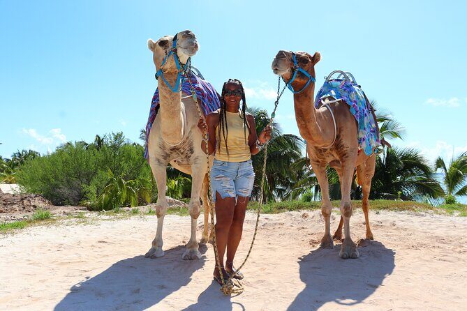 ENJOY UNIQUE CAMEL RIDE in Puerto Morelos with Transportation - Who This Camel Ride Is Best For (and Who Should Skip It)