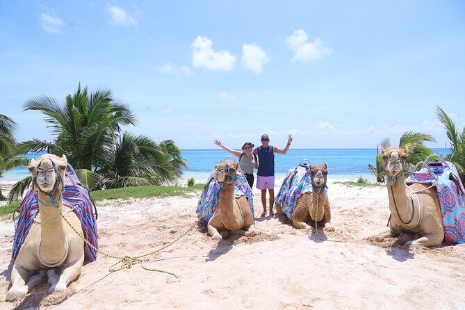 ENJOY UNIQUE CAMEL RIDE in Puerto Morelos with Transportation - El Dorado Maroma Beach Club: Where You Reset After the Ride