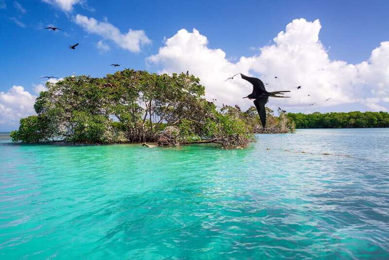 Exclusive Full Day Nature Expedition in Sian Ka'an - Lunch by Locals: Simple Food, Real Place