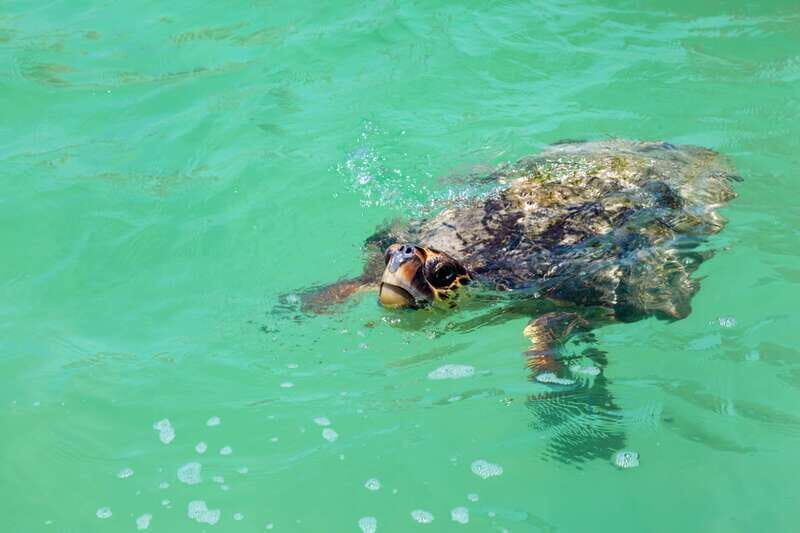Exclusive Full Day Nature Expedition in Sian Ka'an - Guides and the Small Things That Improve the Day