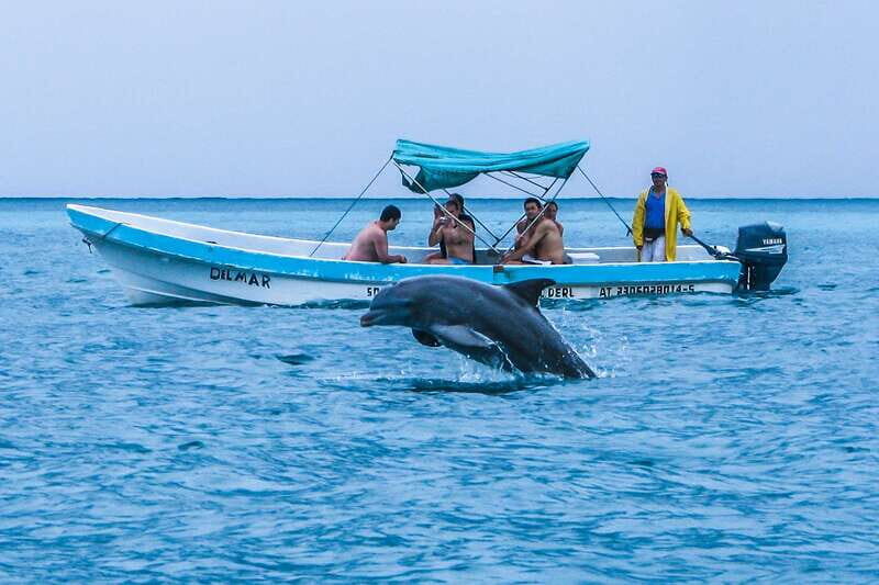 Exclusive Full Day Nature Expedition in Sian Ka'an - Price and Value: Is $224 Worth It?
