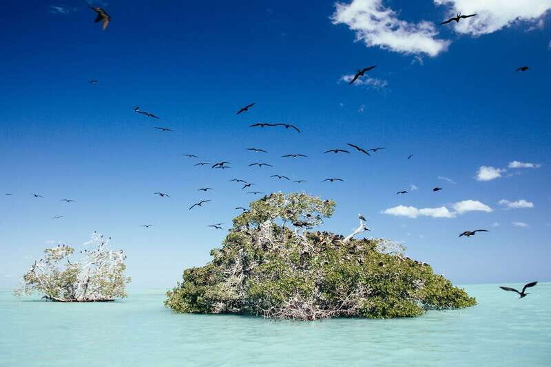 Exclusive Full Day Nature Expedition in Sian Ka'an - The Van Ride From Riviera Maya or Playa del Carmen: Plan for the Long Day