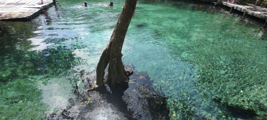 Exclusive Holbox: Yalahau, Punta Mosquito and Isla Pasion - Guides, Organization, and the Human Side of the Day