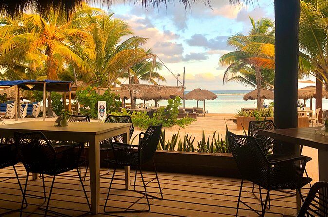 Exclusive Open Bar Experience at Yaya Beach - Lunch on the beach: menu highlights, vegan options, and what to confirm