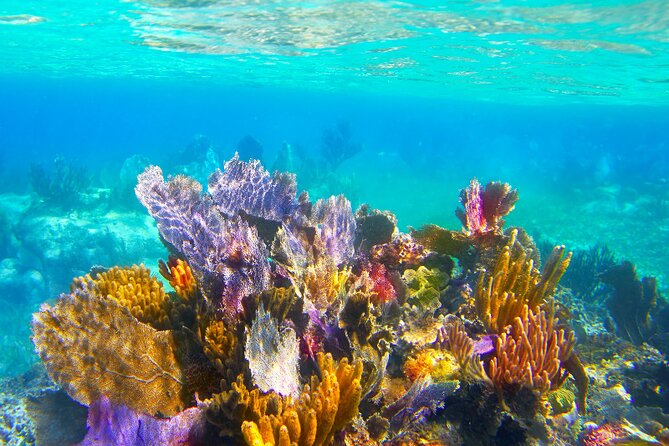 Exclusive Private Boat to El Cielo - A Private Boat Day to El Cielo: How It Works on Cozumel Time