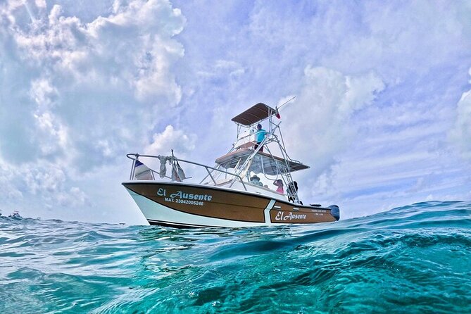 Exclusive Private Boat to El Cielo - Stop 1: Palancar Reef in a Tight 20 Minutes