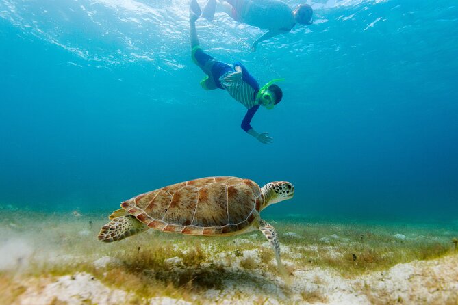 Exclusive Private Boat to El Cielo - Stop 2: Colombia Deep Reef and Another 20-Minute Reef Session