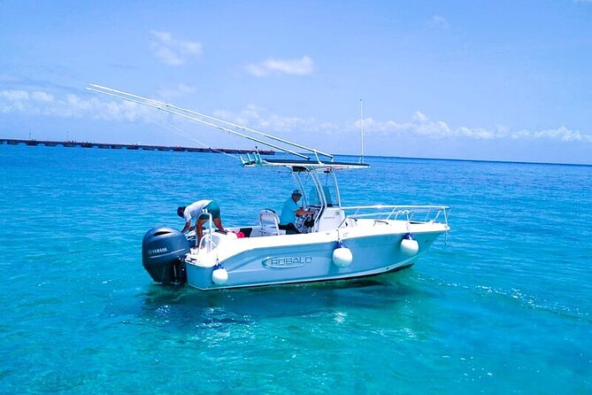 Exclusive Private Boat to El Cielo - Stop 4: Parque Nacional Arrecifes de Cozumel for 1 Hour 50 Minutes