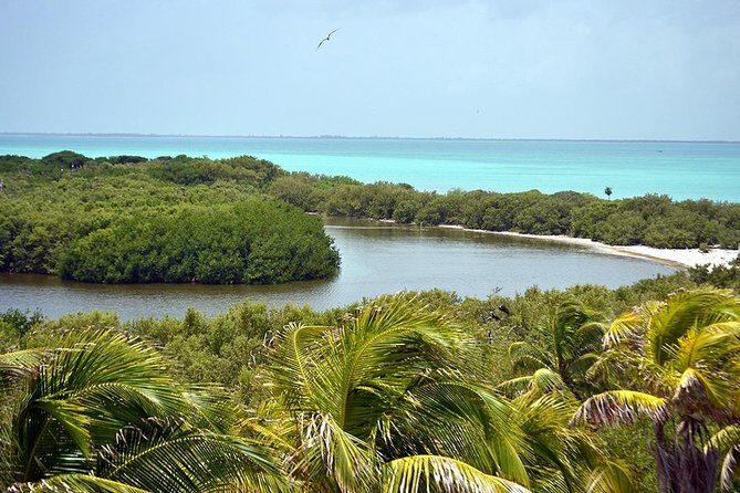 Excursion Isla Contoy & Isla Mujeres from Cancun - Food and Drinks: Continental Breakfast, Beach Buffet Lunch, and Fresh Fruit