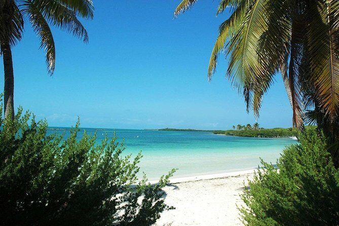 Excursion Isla Contoy & Isla Mujeres from Cancun - Group Size and the Way That Affects Your Experience
