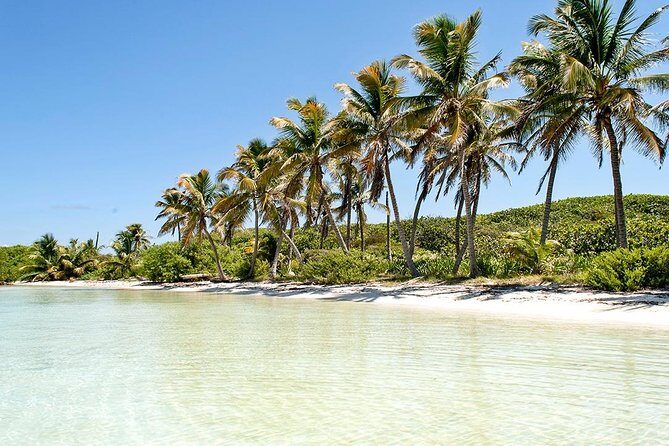Excursion Isla Contoy & Isla Mujeres from Cancun - Ixlaché Reef Snorkeling: What’s Included and What to Watch