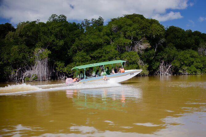 Excursion to Celestun Biosphere and Beach Day from Merida - The Mangrove Stops and “Why This Matters” Moments