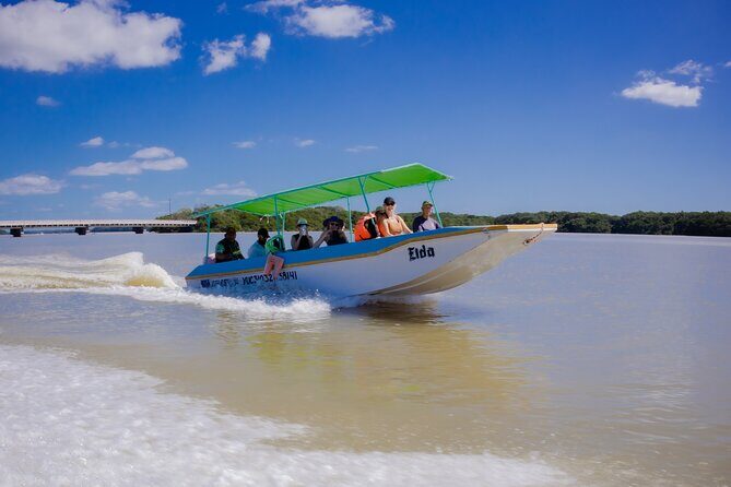 Excursion to Celestun Biosphere and Beach Day from Merida - Playa Norte Celestún: Turning Wildlife Into a Beach Day