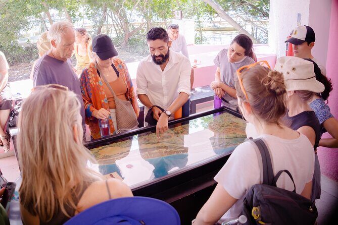 Excursion to Celestun Biosphere and Beach Day from Merida - Beach Club Comfort: What You’re Really Paying For