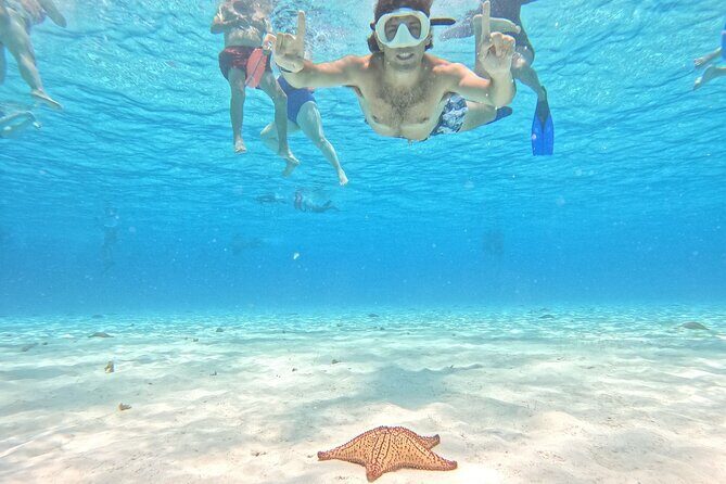 Excursion to Cozumel from Cancun - Quick Takes: What’s Worth Your Time
