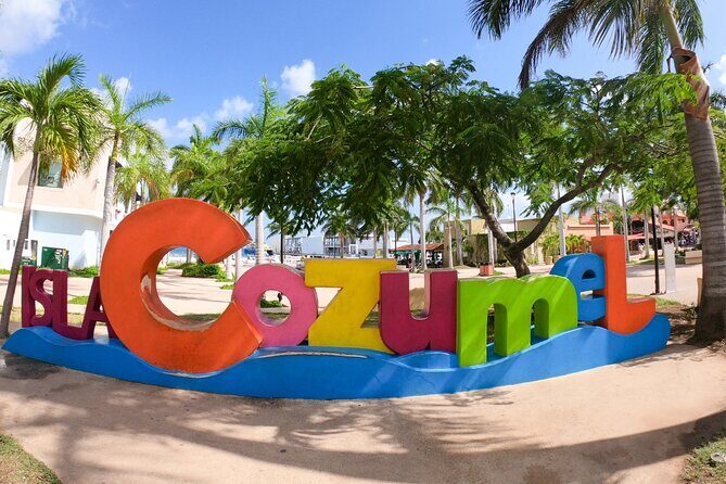 Excursion to Cozumel from Cancun - Playa El Cielo: Crystal-Clear Water and Starfish Spotting