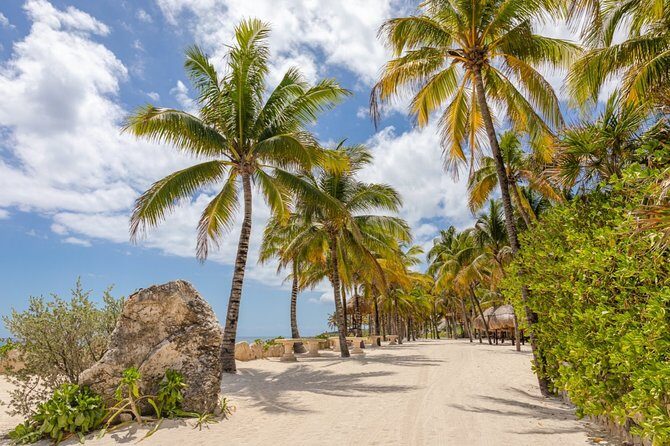 Experience an amazing ecological park tour & explore Isla Mujeres by catamaran. - Who this tour fits best in real life