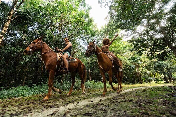 Experience ATV, Ziplines, Cenote and Horses Ride in Cancún - Key highlights worth knowing before you go