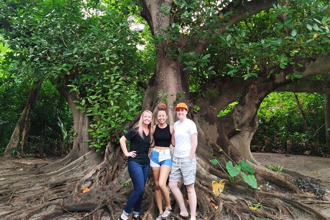 Experience Cancun's Hidden Gems, Mayan museum, cenote & Market 23 - Who this tour fits best