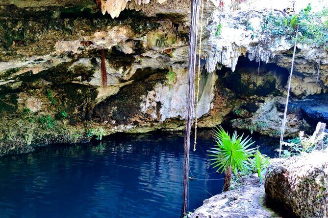 Experience Cancun's Hidden Gems, Mayan museum, cenote & Market 23 - FAQ
