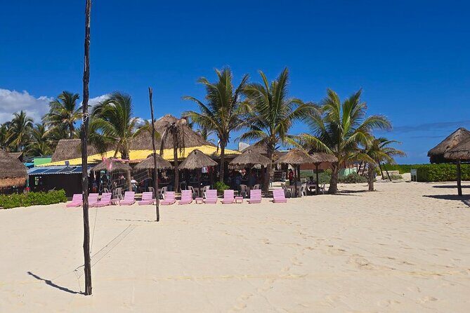 Experience Cozumel Historical Center Mayan and Beach Experience - Price, time, and what the private transport really gets you