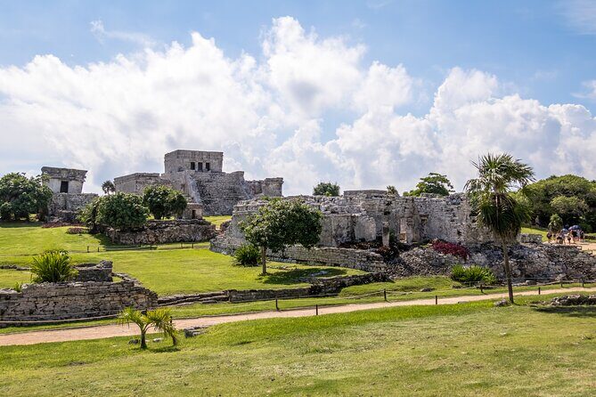 Experience swimming with turtles and explore the ruins of Tulum. Lunch included. - Your guide and what you should pay attention to