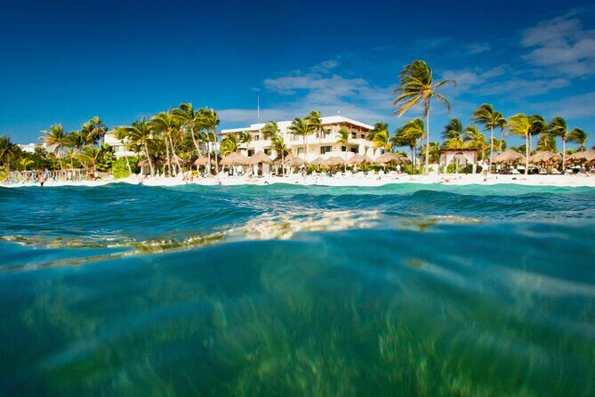 Experience swimming with turtles and explore the ruins of Tulum. Lunch included. - Who should book this tour