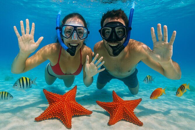 Exploration to El Cielo and Reefs: Live up close with stars - Key highlights you’ll feel in the water