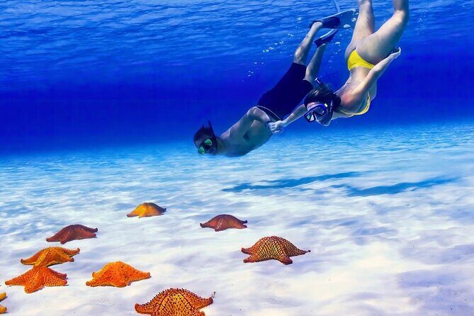 Exploration to El Cielo and Reefs: Live up close with stars - From the pier to the reefs: the quick start in Cozumel