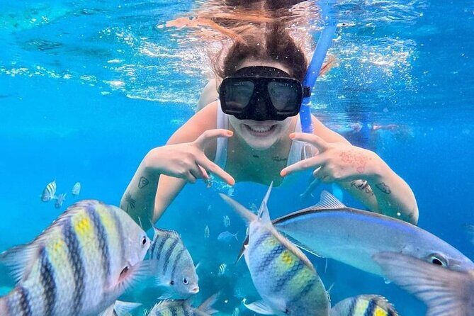 Exploration to El Cielo and Reefs: Live up close with stars - El Cielo Cozumel: the starfish sandbank experience
