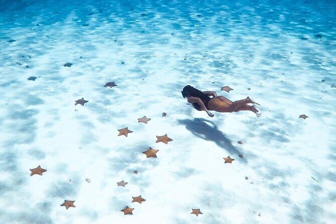 Exploration to El Cielo and Reefs: Live up close with stars - El Cielito Beach: shallow manta rays at the end