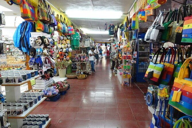 Explore Cancun City Tour! Round Bus transportation - Getting to Cancún’s real neighborhoods: pickup at Oasis Smart and a 9:00am start