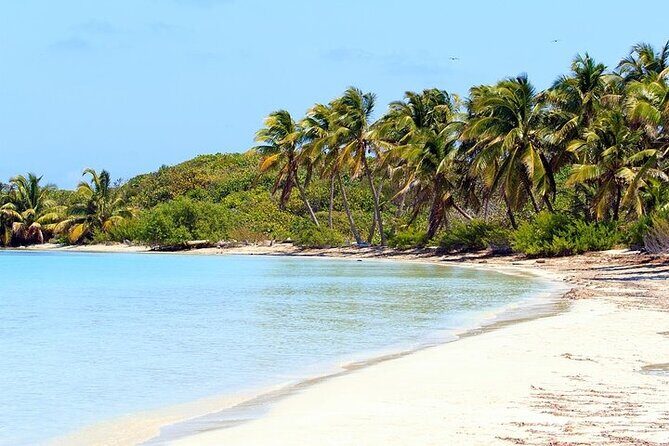 Explore Contoy Island - Snorkeling Ixlache Reef: the payoff (and the cutoff)