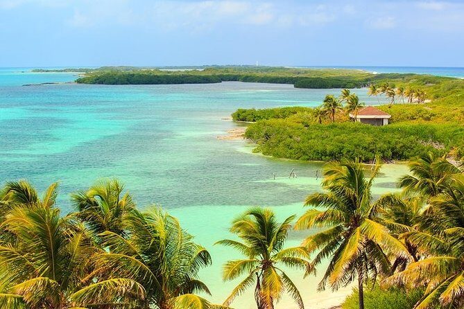 Explore Contoy Island - Price and value: is $169 a smart buy?